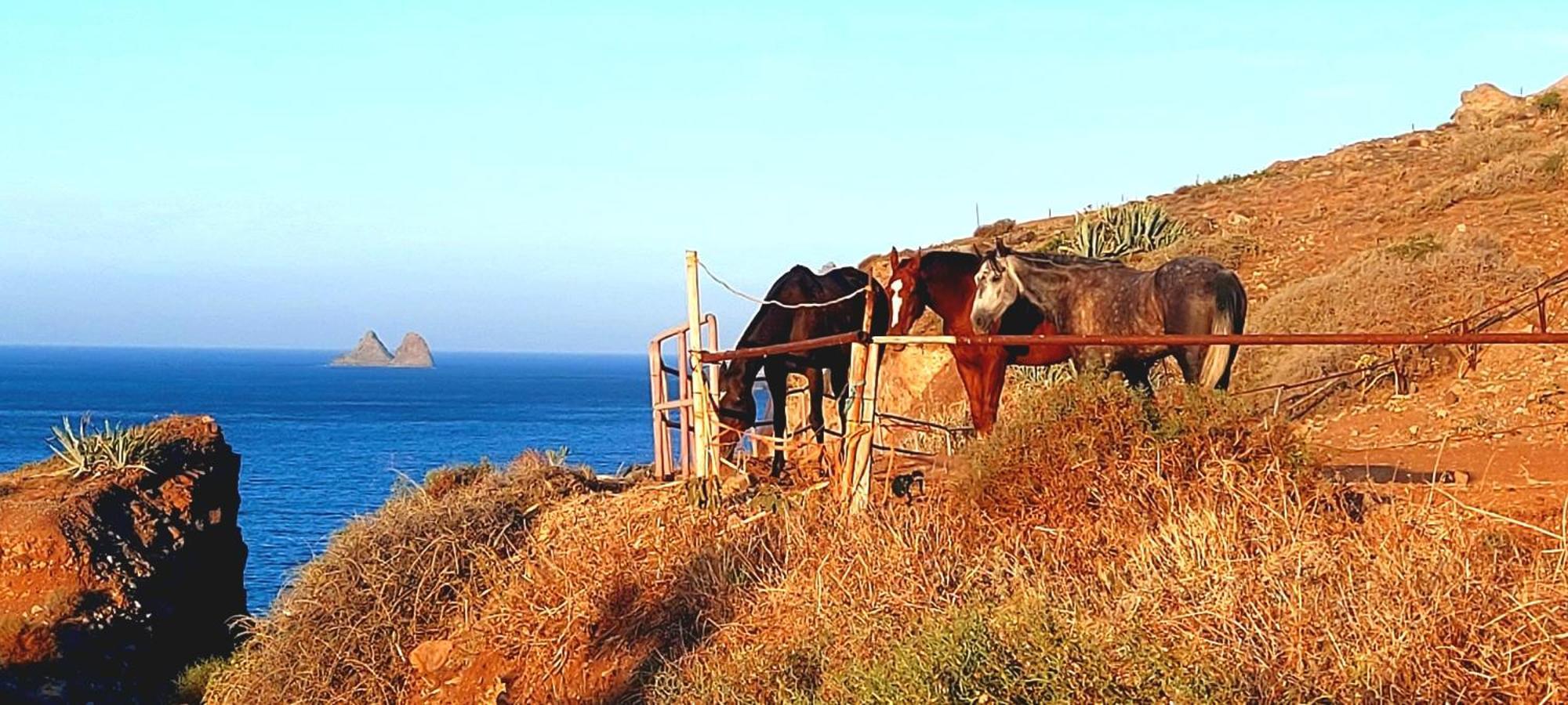 Casa Tucho Paraiso Sea Sound Santa Cruz de Tenerife Bagian luar foto